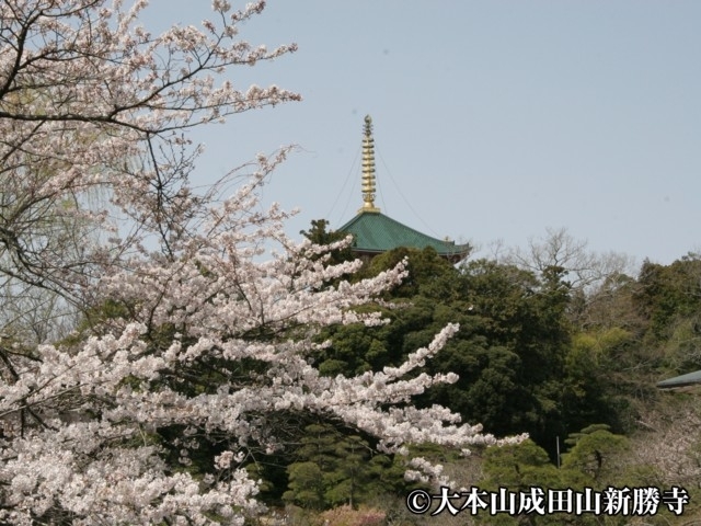 成田山公園 まっぷるトラベルガイド