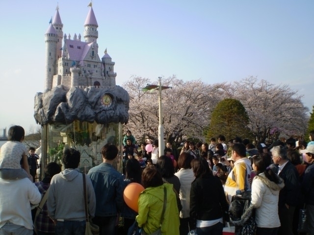 千葉県のおすすめの桜の名所 お花見スポット 21年版 まっぷるトラベルガイド