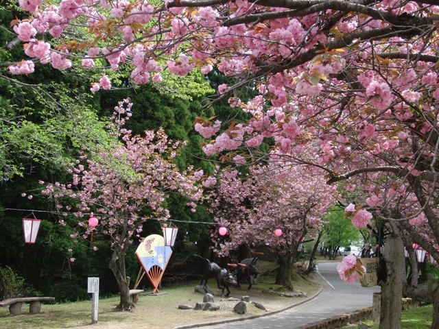 北陸のおすすめの桜の名所 お花見スポット 21年版 まっぷるトラベルガイド