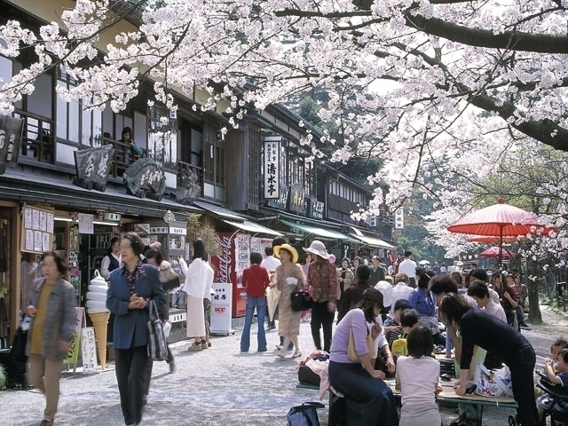 北陸のおすすめの桜の名所 お花見スポット 21年版 まっぷるトラベルガイド