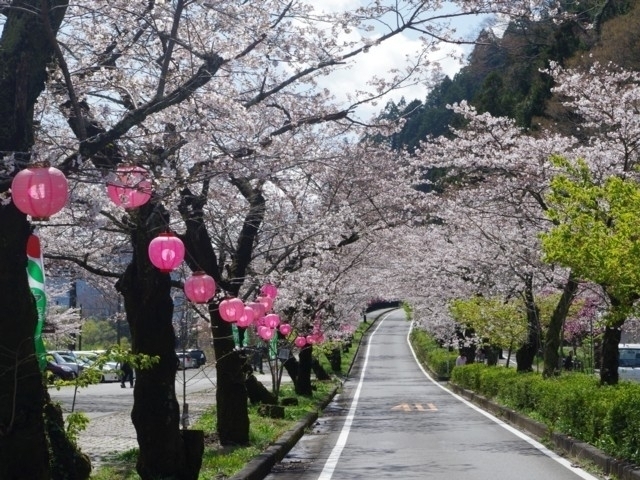 東海のおすすめの桜の名所 お花見スポット 21年版 まっぷるトラベルガイド