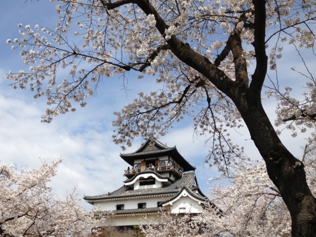 愛知県のおすすめの桜の名所 お花見スポット 21年版 まっぷるトラベルガイド