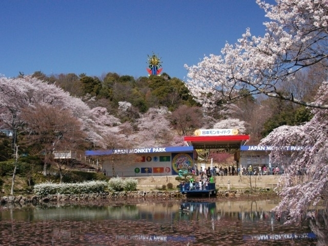 愛知県のおすすめの桜の名所 お花見スポット 21年版 まっぷるトラベルガイド