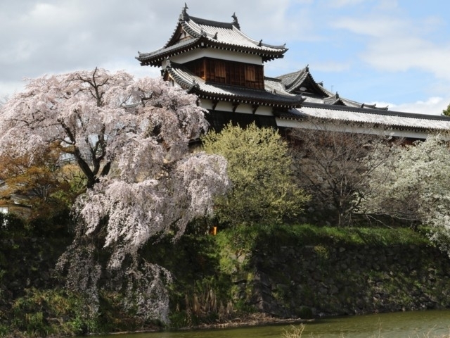 奈良県のおすすめの桜の名所 お花見スポット 21年版 観光旅行メディア まっぷるトラベルガイド