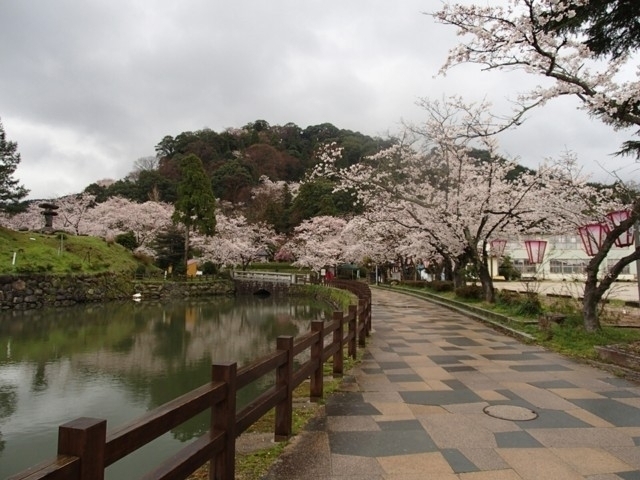 鹿野城跡公園 まっぷるトラベルガイド