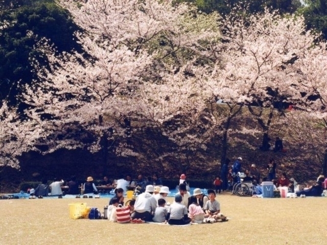 岡山県のおすすめの桜の名所 お花見スポット 21年版 まっぷるトラベルガイド