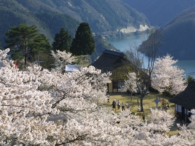 岡山県のおすすめの桜の名所 お花見スポット 21年版 まっぷるトラベルガイド