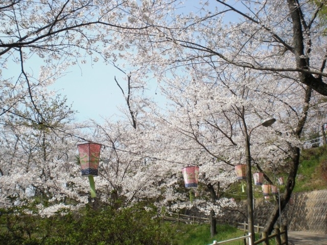 正福寺山公園 まっぷるトラベルガイド