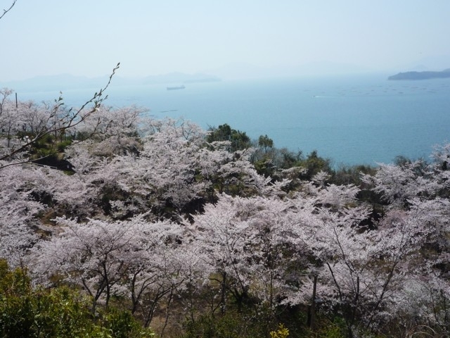 正福寺山公園 まっぷるトラベルガイド