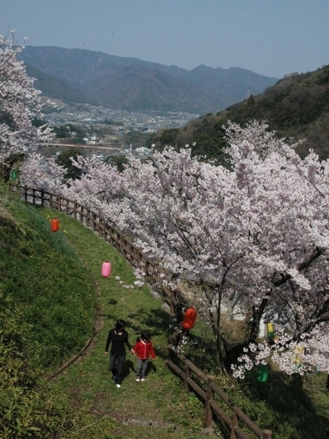 四国のおすすめの桜の名所 お花見スポット 21年版 まっぷるトラベルガイド