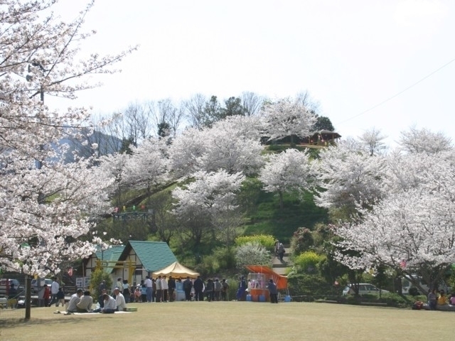 徳島県のおすすめの桜の名所 お花見スポット 21年版 まっぷるトラベルガイド