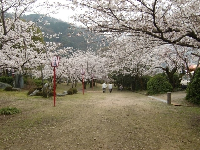 四国のおすすめの桜の名所 お花見スポット 21年版 まっぷるトラベルガイド