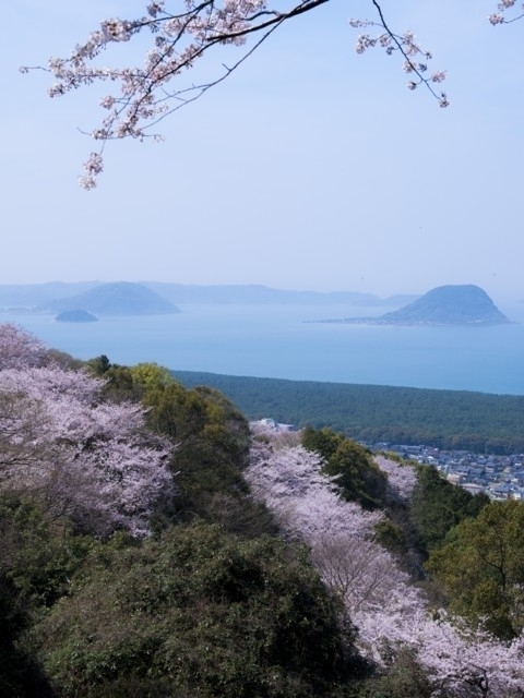 佐賀県のおすすめの桜の名所 お花見スポット 21年版 まっぷるトラベルガイド