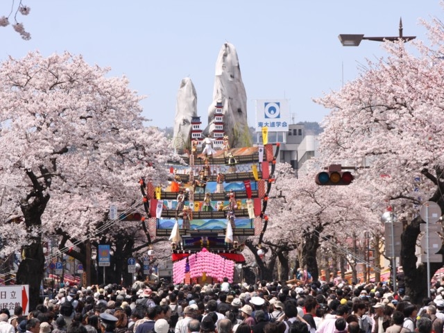 平和通りの桜 まっぷるトラベルガイド