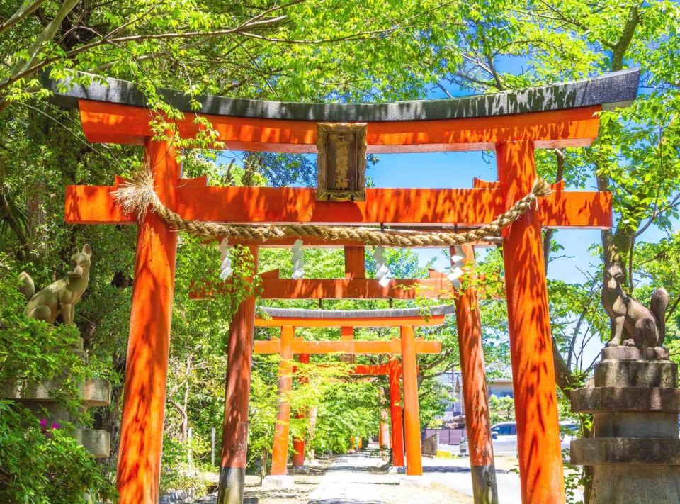 京都】青もみじ絶景スポット＆カフェ34選 初夏の爽やかな風を満喫