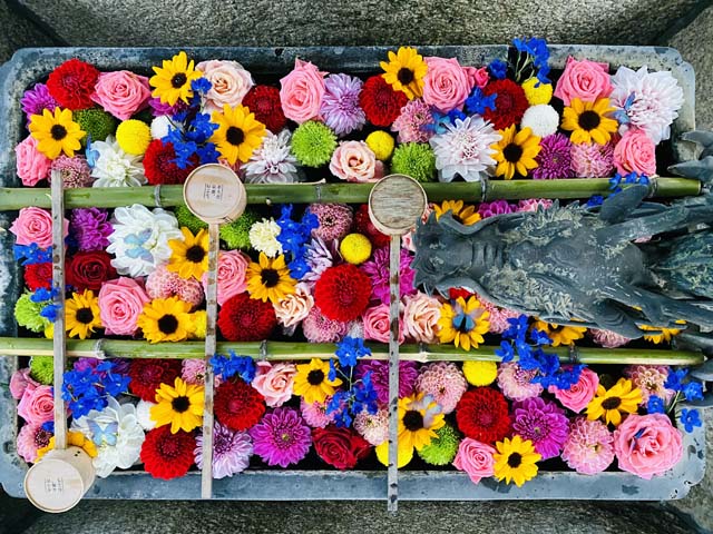 京都 花手水 に浮かぶカラフルな季節の花6選 社寺の新たな見どころ発見 まっぷるトラベルガイド