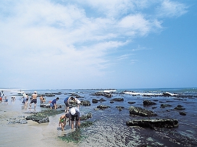 関東のおすすめのビーチ 海水浴場 21年版 期間やイベント 海の家の軒数など情報満載 まっぷるトラベルガイド