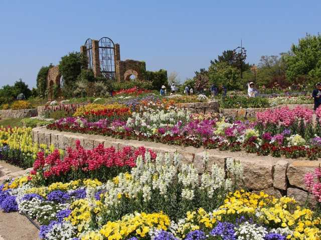 福岡の大きい公園おすすめ選 広い公園に遊びに行こう まっぷるトラベルガイド