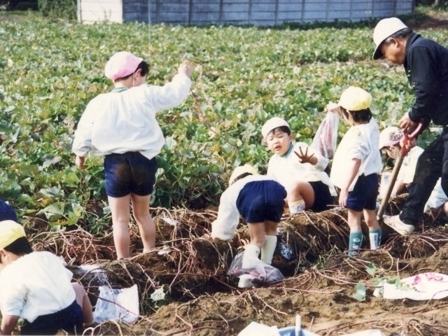 埼玉県のおすすめサツマイモ掘りスポット 21年版 収穫時期や品種 食べ放題など情報満載 季節の味覚を堪能しよう まっぷるトラベルガイド