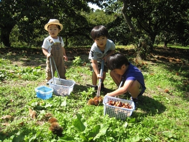 みとろ観光果樹園 まっぷるトラベルガイド