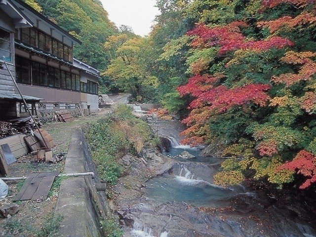 秋田県のおすすめの紅葉スポット 21年版 例年の見頃時期やイベント ライトアップなど情報満載 まっぷるトラベルガイド