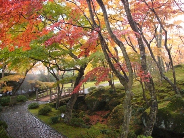 神奈川県のおすすめの紅葉スポット 21年版 例年の見頃時期やイベント ライトアップなど情報満載 まっぷるトラベルガイド