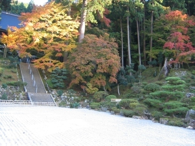 福井県のおすすめの紅葉スポット 21年版 例年の見頃時期やイベント ライトアップなど情報満載 まっぷるトラベルガイド