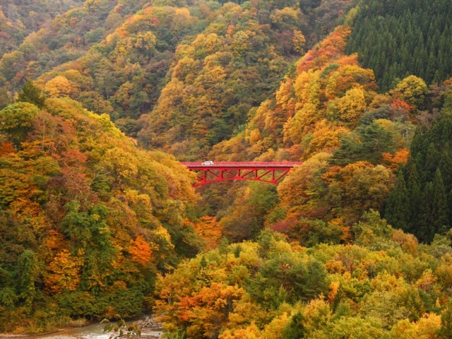 長野県のおすすめの紅葉スポット 21年版 例年の見頃時期やイベント ライトアップなど情報満載 まっぷるトラベルガイド