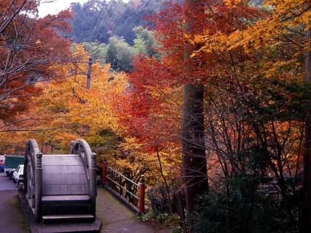 東海のおすすめの紅葉スポット 21年版 例年の見頃時期やイベント ライトアップなど情報満載 まっぷるトラベルガイド