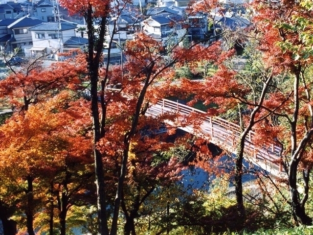 奈良県のおすすめの紅葉スポット 21年版 例年の見頃時期やイベント ライトアップなど情報満載 まっぷるトラベルガイド