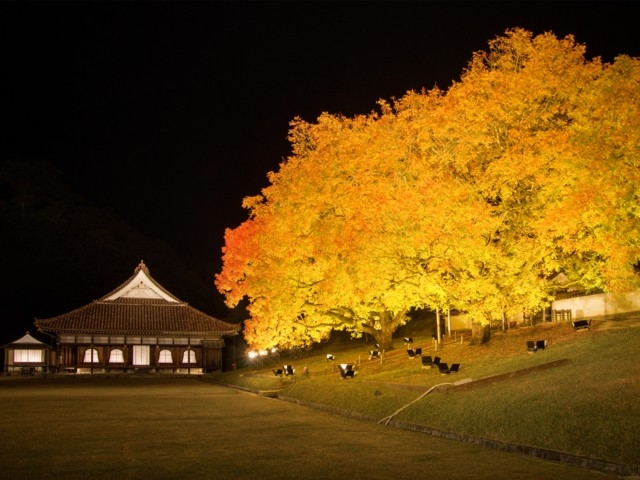 岡山県のおすすめの紅葉スポット 21年版 例年の見頃時期やイベント ライトアップなど情報満載 まっぷるトラベルガイド