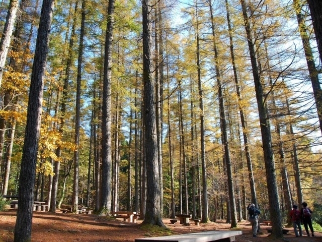 岡山県のおすすめの紅葉スポット 21年版 例年の見頃時期やイベント ライトアップなど情報満載 まっぷるトラベルガイド