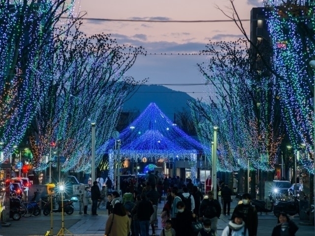 静岡県のおすすめのイルミネーション ライトアップスポット 21 22版 期間やアクセス イベントなど情報満載 まっぷるトラベルガイド