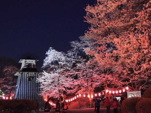 群馬県のおすすめの桜の名所 お花見スポット 22年版 まっぷるトラベルガイド