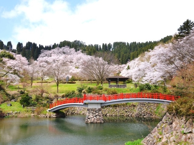 北陸のおすすめの桜の名所 お花見スポット 22年版 まっぷるトラベルガイド