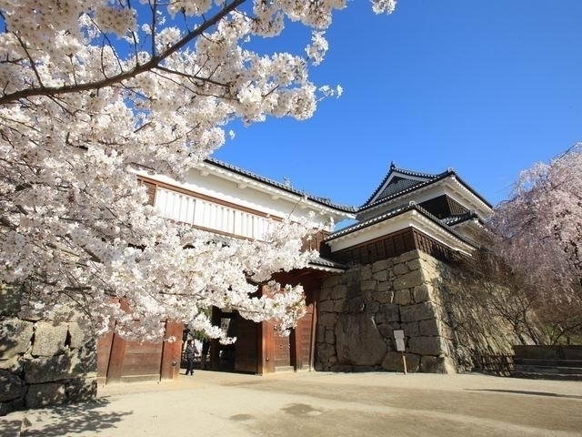 長野県のおすすめの桜の名所 お花見スポット 22年版 まっぷるトラベルガイド