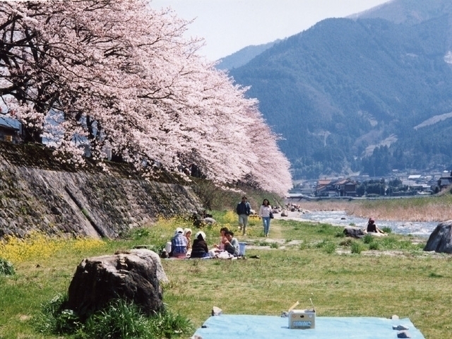 鳥取県のおすすめの桜の名所 お花見スポット 22年版 まっぷるトラベルガイド