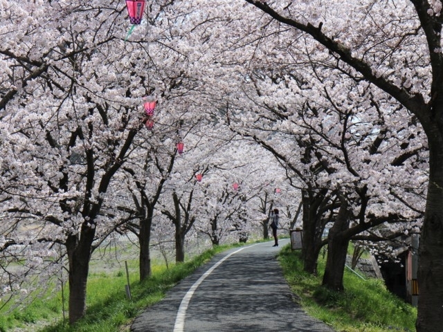 岡山県のおすすめの桜の名所 お花見スポット 22年版 まっぷるトラベルガイド