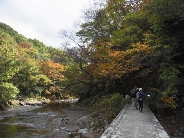 宮城県のおすすめの紅葉スポット 22年版 例年の見頃時期やイベント ライトアップなど情報満載 まっぷるトラベルガイド