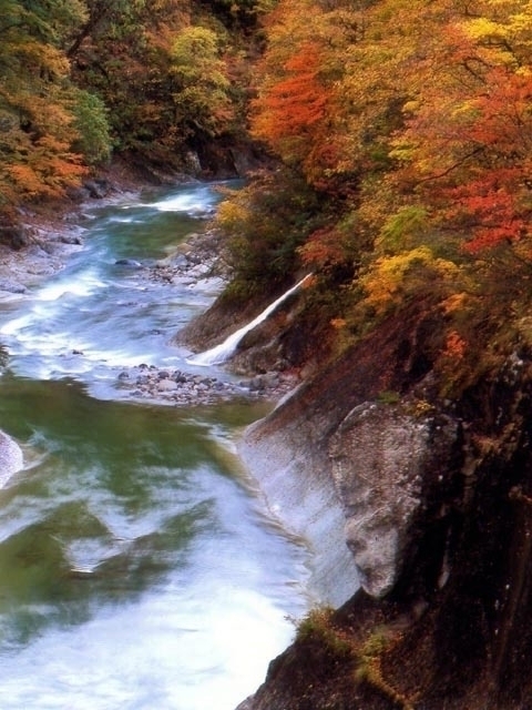 秋田県のおすすめの紅葉スポット 22年版 例年の見頃時期やイベント ライトアップなど情報満載 まっぷるトラベルガイド