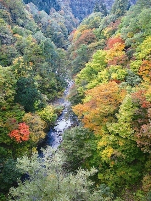 秋田県のおすすめの紅葉スポット 22年版 例年の見頃時期やイベント ライトアップなど情報満載 まっぷるトラベルガイド