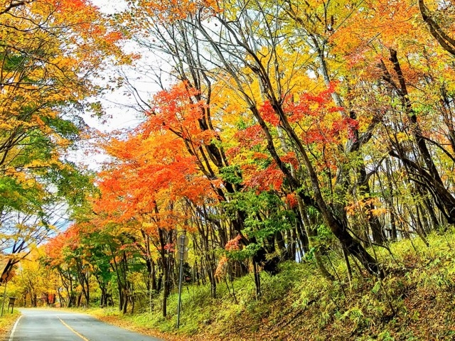 栃木県のおすすめの紅葉スポット【2022年版】 例年の見頃時期やイベント、ライトアップなど情報満載｜まっぷるトラベルガイド