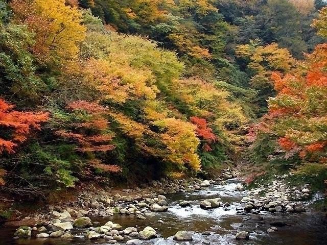 神奈川県のおすすめの紅葉スポット 22年版 例年の見頃時期やイベント ライトアップなど情報満載 まっぷるトラベルガイド