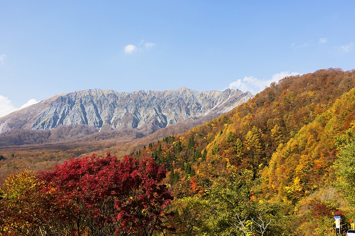 鳥取・大山とその麓をめぐる】大山の紅葉ドライブ＆動物ふれあいの旅
