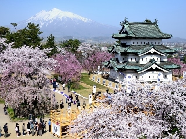 東北のおすすめの桜の名所・お花見スポット【2023年版】｜まっぷる