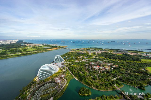 シンガポールの未来型植物園 ガーデンズ バイ ザ ベイ 観光旅行メディア まっぷるトラベルガイド
