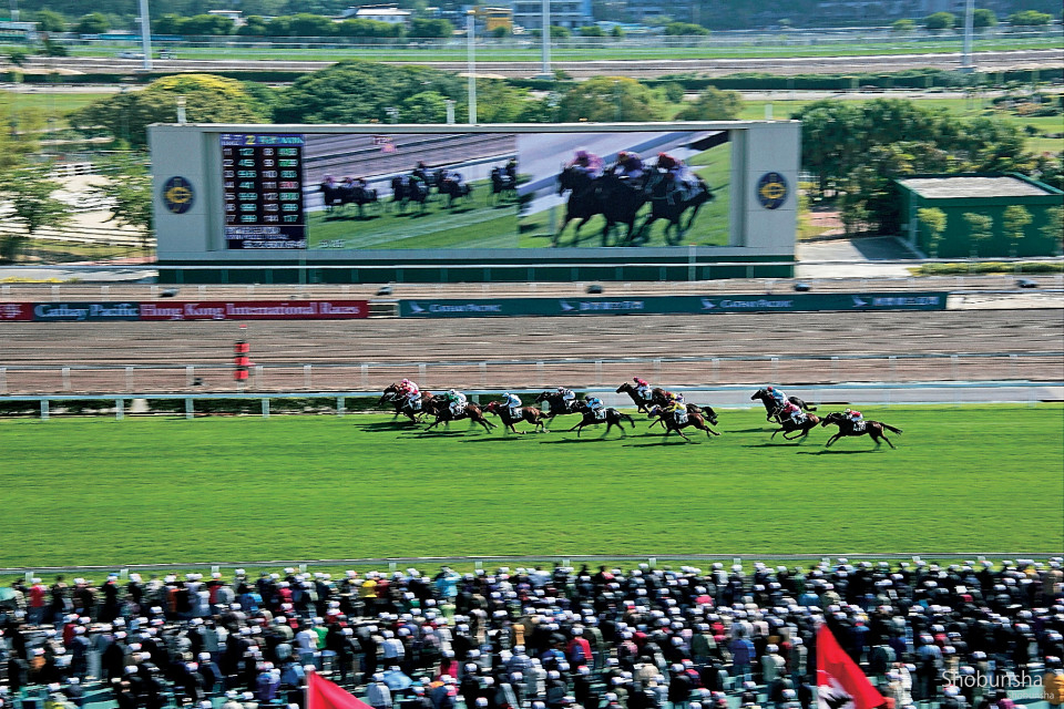 ハイレベルな香港の競馬場でレースを満喫 馬券の種類や買い方も紹介 まっぷるトラベルガイド