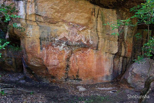 オーストラリア カカドゥ国立公園 アボリジナルが住む世界遺産 観光旅行メディア まっぷるトラベルガイド