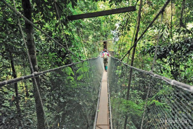 マレーシアでやりたいこと１０選 これおさえて楽しい旅を まっぷるトラベルガイド