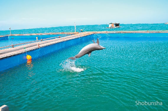 バリ島で体験 今 話題の海と森でパワーチャージ 観光旅行メディア まっぷるトラベルガイド